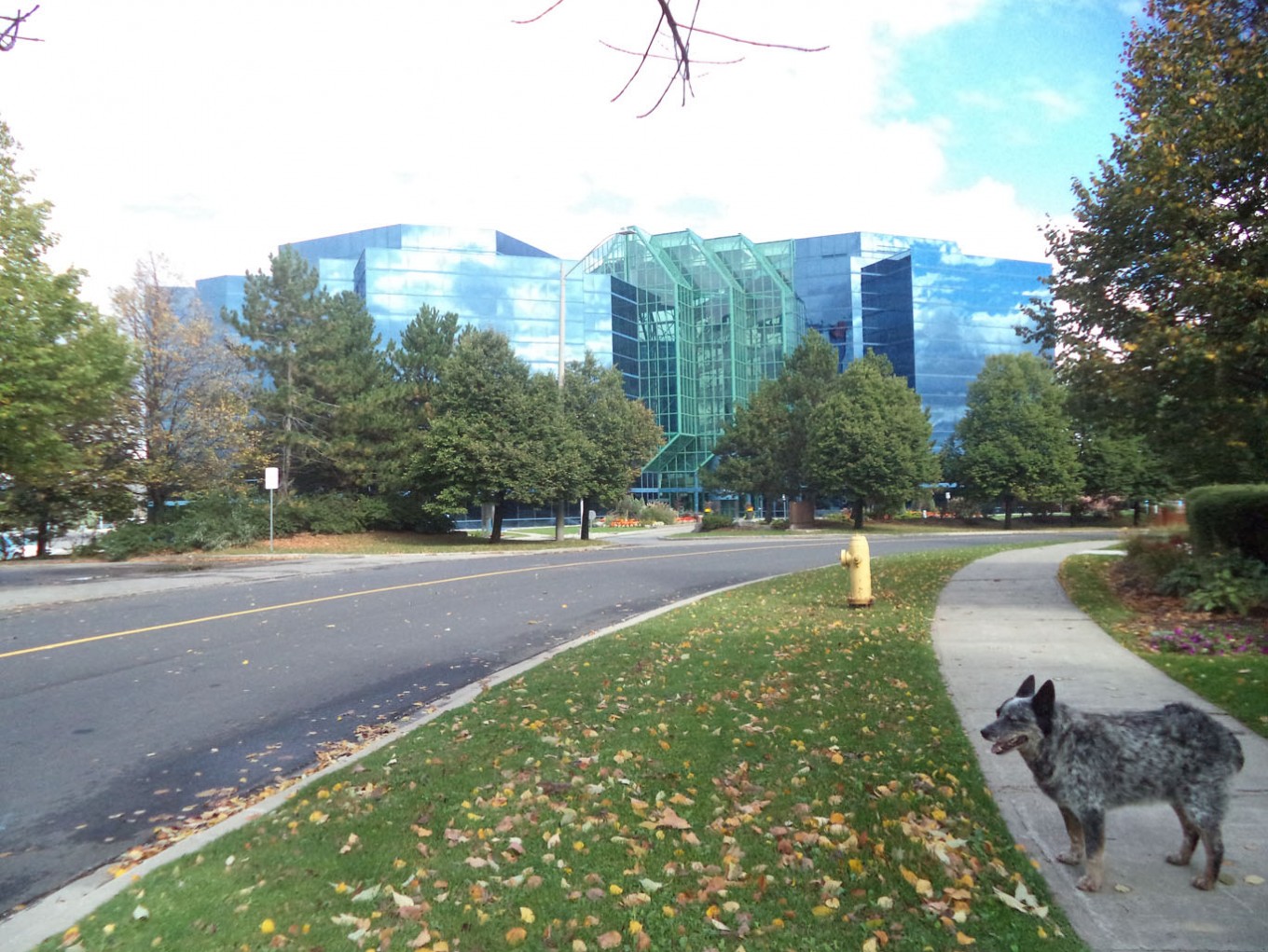 Stantec - Cochrane Drive