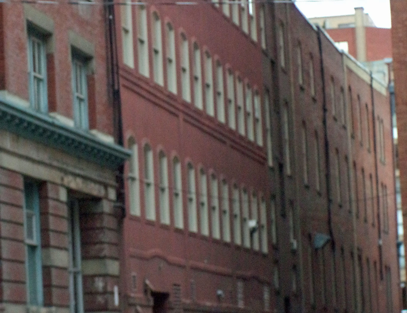 The Gordon Foundation