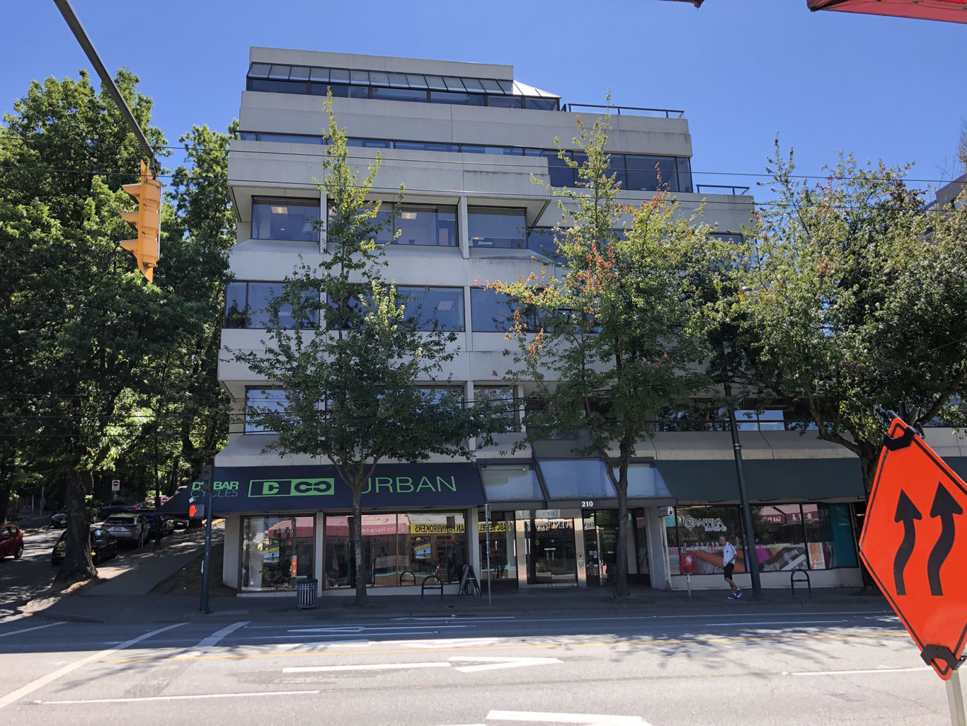 Vesalius Cardiovascular